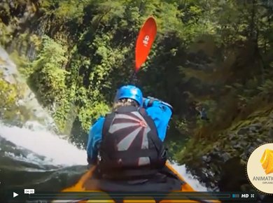 video and multimedia